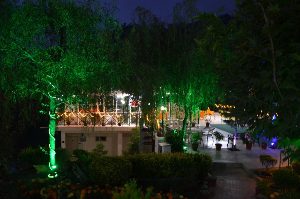 Maple Resort Chail Esterno foto