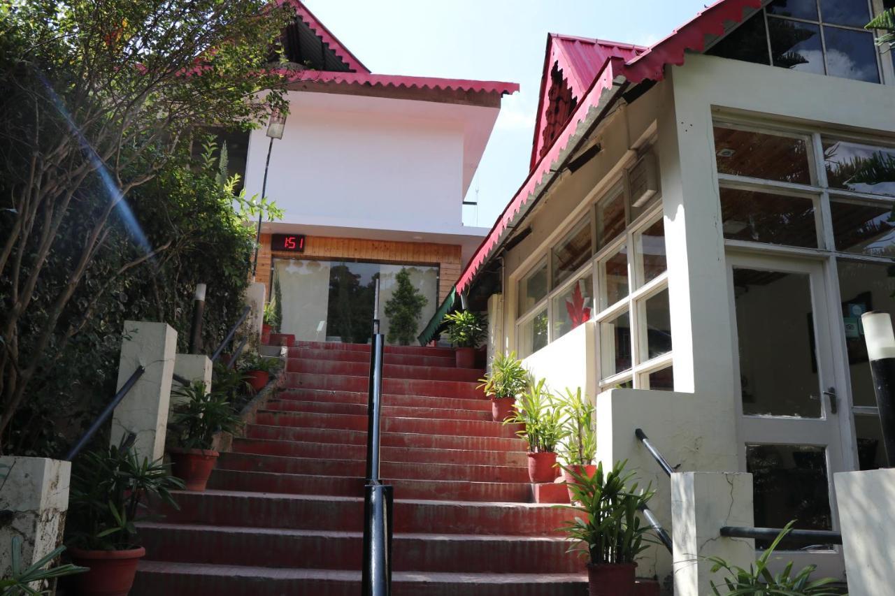 Maple Resort Chail Esterno foto